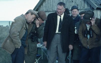 and the voice of Jeffrey Boswell on the epic multi-disc “Field Guide to the Birds of Britain and Europe”.