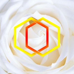 The The Parish News Show