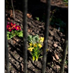 The Distraction Therapy Show