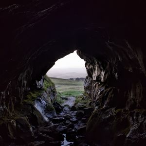  Litany for End Times.