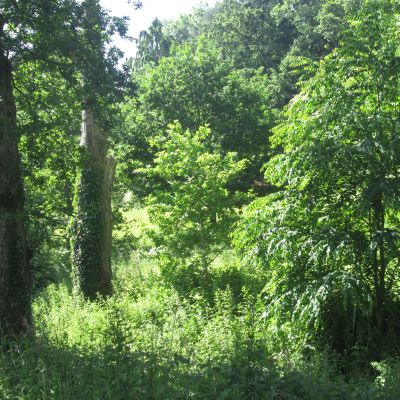 Shows - What are we Talking About Today? with Collette Hurley 