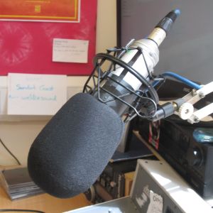 The Dub on the Dart Show